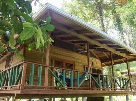 Jungle beach 2 bedroom cottage，位于博卡斯德尔托罗的木屋