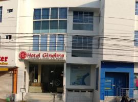 Hotel Ginebra Sincelejo，位于辛塞莱霍的酒店