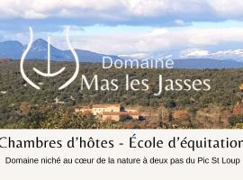 Mas les jasses Chambre d'hôte calme et agréable à la campagne，位于Ferrières-les-Verreries的酒店