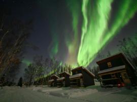The Cozy Caribou - Frontier Village，位于North Pole的乡村别墅