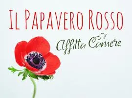 Il papavero rosso