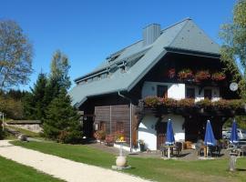 Schwarzwaldhof Nicklas，位于黑林山区邦多夫的酒店