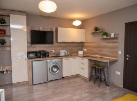 All Seasons Apartments Iglika 2，位于波罗维茨的酒店