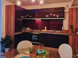 Self Check-IN Free Parking Near Metro Stations and BUS WestSide Studio S6