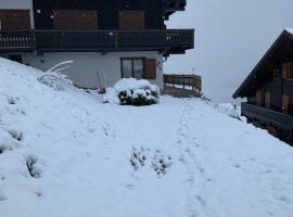 Les Œillets, Les portes du Soleil，位于香普森的酒店