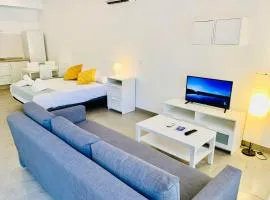Apartamentos Pintor Losada