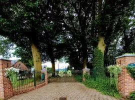 mooie familie groepsaccomodatie aan de bosrand