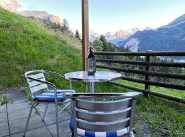 Bed & Breakfast in car-free Wengen - Hop in Nest BnB，位于翁根的酒店