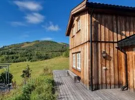 Sunny and beautiful cabin in Geilo