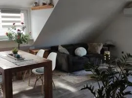 Gemütliche 5Pers Ferienwohnung "Am Steinbach" Nähe Nürnberg Ruhig und gute Anbindung