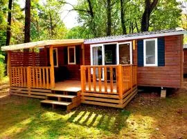 Mobil-home dans la forêt haute et tranquille