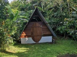 Cabaña Chalet Tortuguero，位于Cariari的酒店