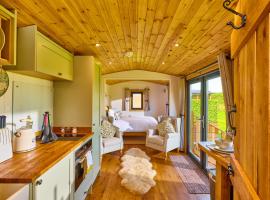 Abberley Shepherds Hut - Ockeridge Rural Retreats，位于Wichenford的露营地