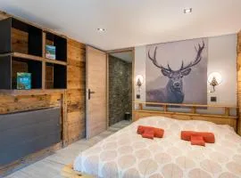 Appartement chaleureux, massif des Aravis
