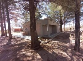 Cabaña Los Pinos，位于巴雷阿尔的酒店