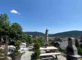 Appartement le nid d'abeille pour 2 pers,2spa,belle vue avec terrasse，位于热拉梅的公寓