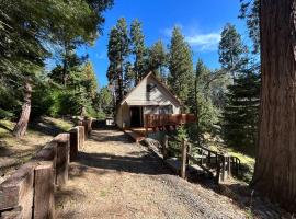 Sequoia National Forest CabinD，位于Panorama Heights的酒店