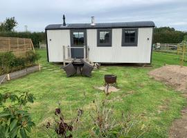 Springwood Shepherd Huts Glamping York，位于约克的酒店