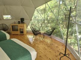 Refugio La Paz EcoGlamping，位于圣拉蒙的胶囊旅馆