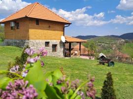 Etno kuća Ostrvica，位于Varnice的酒店