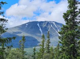 Ny leilighet med flott utsikt til Gaustatoppen，位于尤坎的酒店