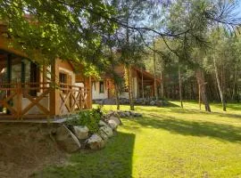 Leśna Kryjówka domki w lesie