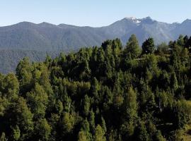 Espíritus del Cañi. Tiny home y destilería，位于普孔的酒店