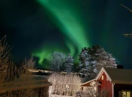 Arctic Circle Cabin，位于Överkalix的酒店