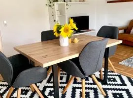 Schöne, große Ferienwohnung direkt am Donauradweg & Keltenstadt Heuneburg