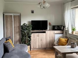 Agroturystyka Pod Modrzewiem - Babia Góra，位于Zubrzyca Górna的酒店