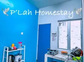 P'LahMuslim Homestay Cameron Highlands