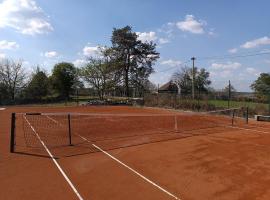 Vila Sreten, Tenis i basket kuća，位于Pambukovica的酒店