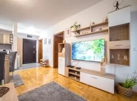 Lux Apartmani Rakić