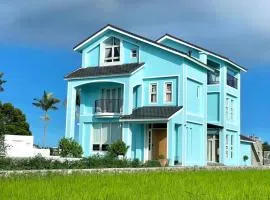 安农Blue House