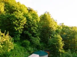 Les songes du chêne