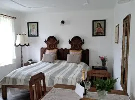 Novomanželský apartmán - 100DOLA