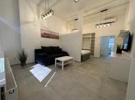 Krásny byt - veľký apartmán v blízkosti centra