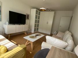 Goce 20 New Belgrade,near hotel Jugoslavija，位于Tošin Bunar的酒店