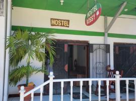 Hostel Rossy，位于南圣胡安的酒店