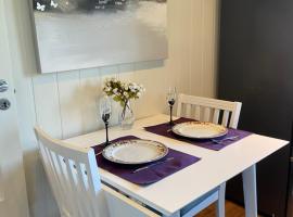 comfortable apartment in a quiet area in the city center，位于希恩的酒店