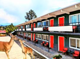 Deerview Lodge & Cabins - Princeton BC，位于普林斯顿的酒店