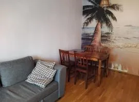 Kaukajärven Joutsen - valoisa ja tilava kaksio