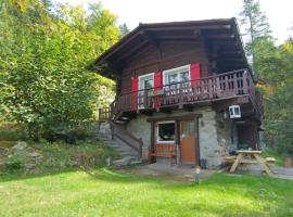 Petit chalet rustique et bucolique，位于Bovernier的酒店
