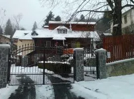 Vila Saos Sinaia ideal for 2 families