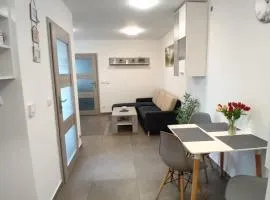 Nový byt Liberec 30