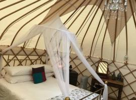 Luxury Yurts，位于Michaelchurch Escley的豪华帐篷