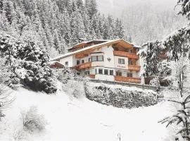 Heimat Apartments - Zillertal