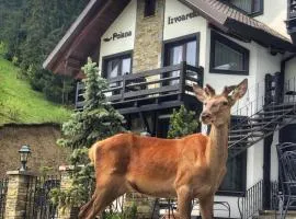 Pensiunea Poiana Izvoarelor