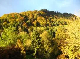 Top! Wohnung direkt am Fuß der Berge im Oberallgäu