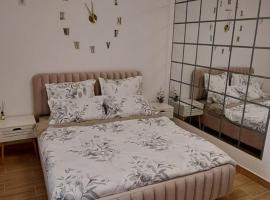 CozyStudio10，位于Roşu的酒店